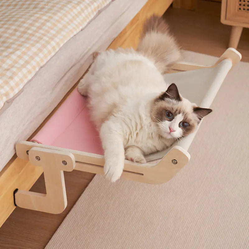 Cat Window Hammock Bed for Medium Pets