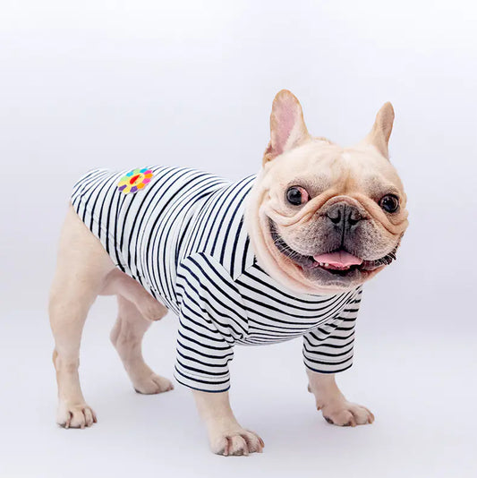 Cotton Stretch Corduroy Shirt for Four-Legged Pets