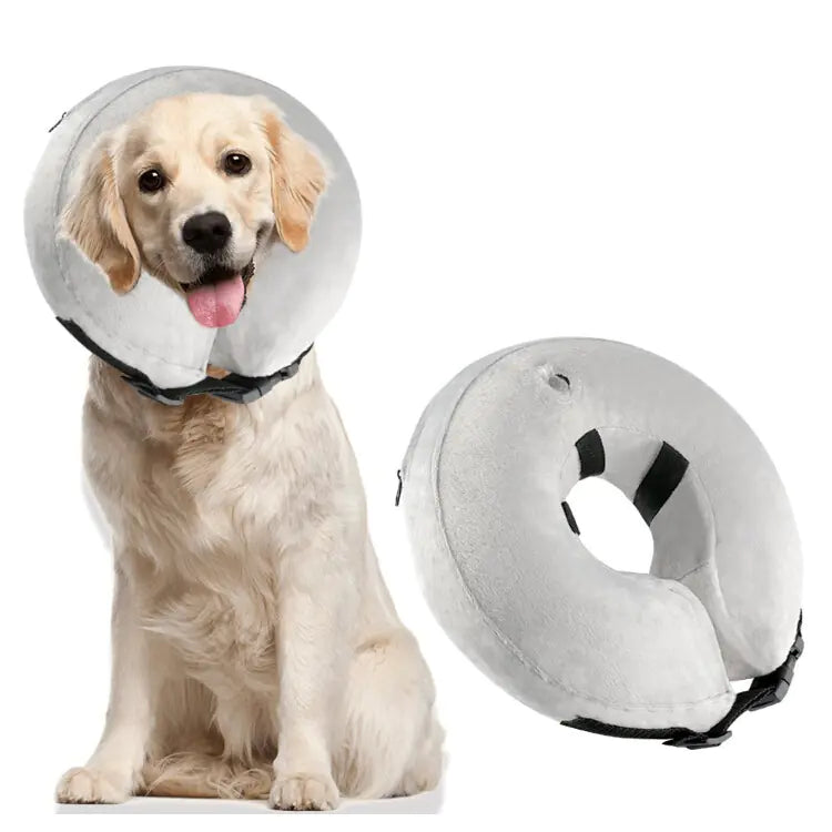 Inflatable Collars for Pets