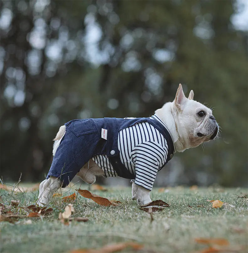 Cotton Stretch Corduroy Shirt for Four-Legged Pets
