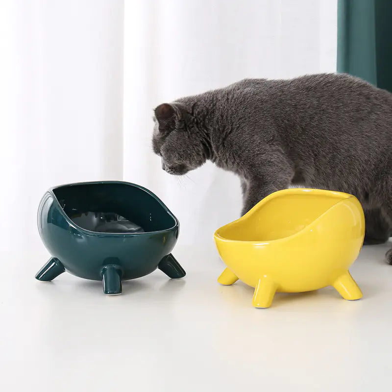 Ceramic Cat Bowl with Neck Support for Pets