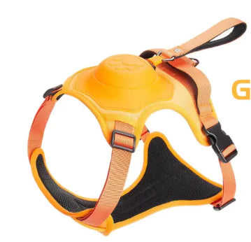 SnugStep Harness and Leash for Pets (One Piece)