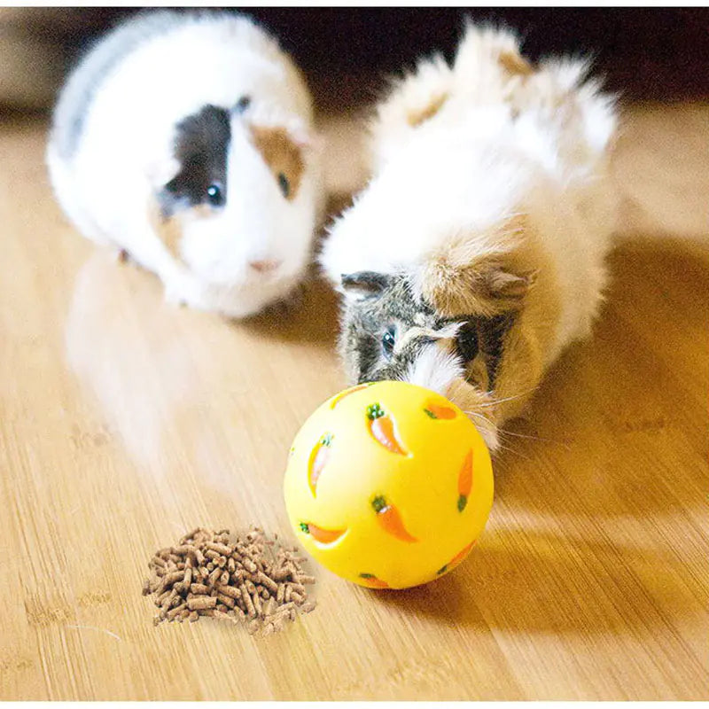 Rabbit Educational Toy with Leaking Ball for Pets