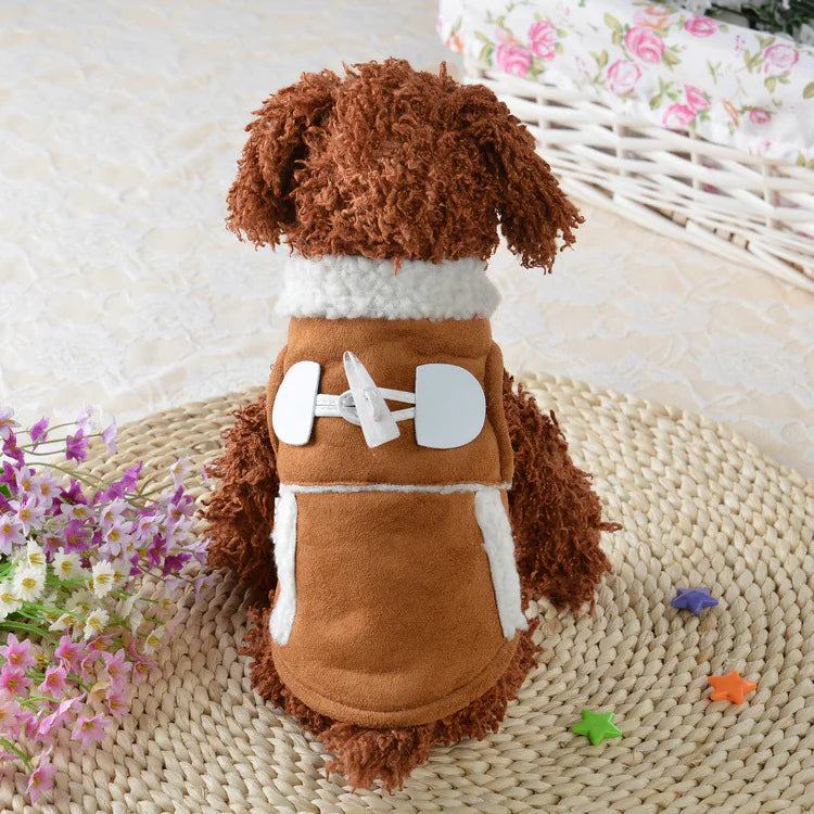 Teddy Dog Costume for Pets