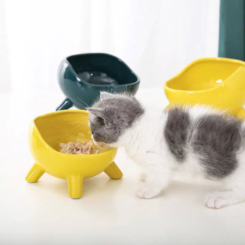Ceramic Cat Bowl with Neck Support for Pets