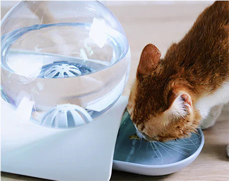 Automatic Pet Water Dispenser for Pets