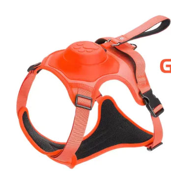 SnugStep Harness and Leash for Pets (One Piece)