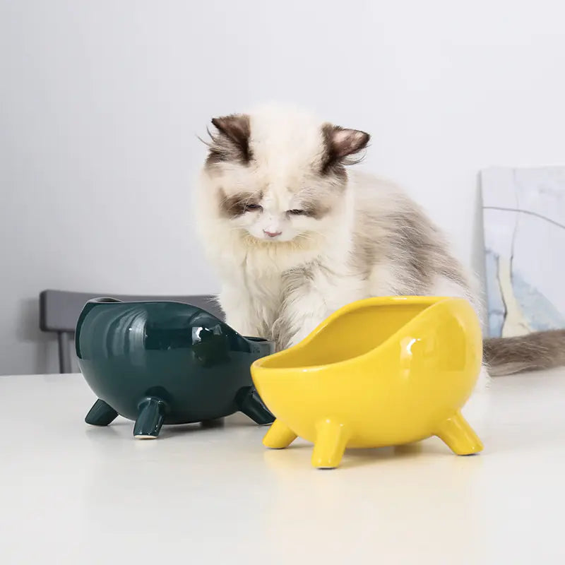 Ceramic Cat Bowl with Neck Support for Pets