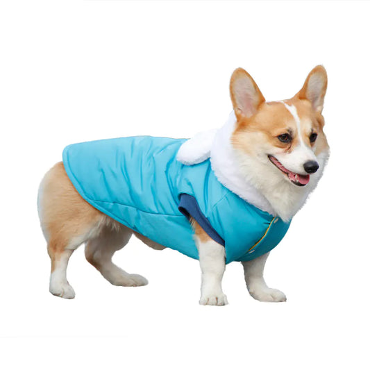 Cute Hooded Cotton Clothes for Pets in Winter