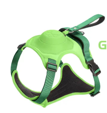 SnugStep Harness and Leash for Pets (One Piece)