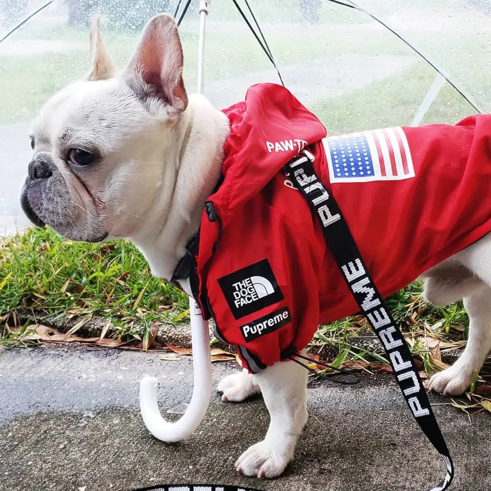 Dog Waterproof Jacket for Pets
