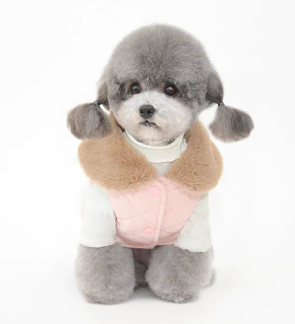 Cotton Winter Clothes for Pets
